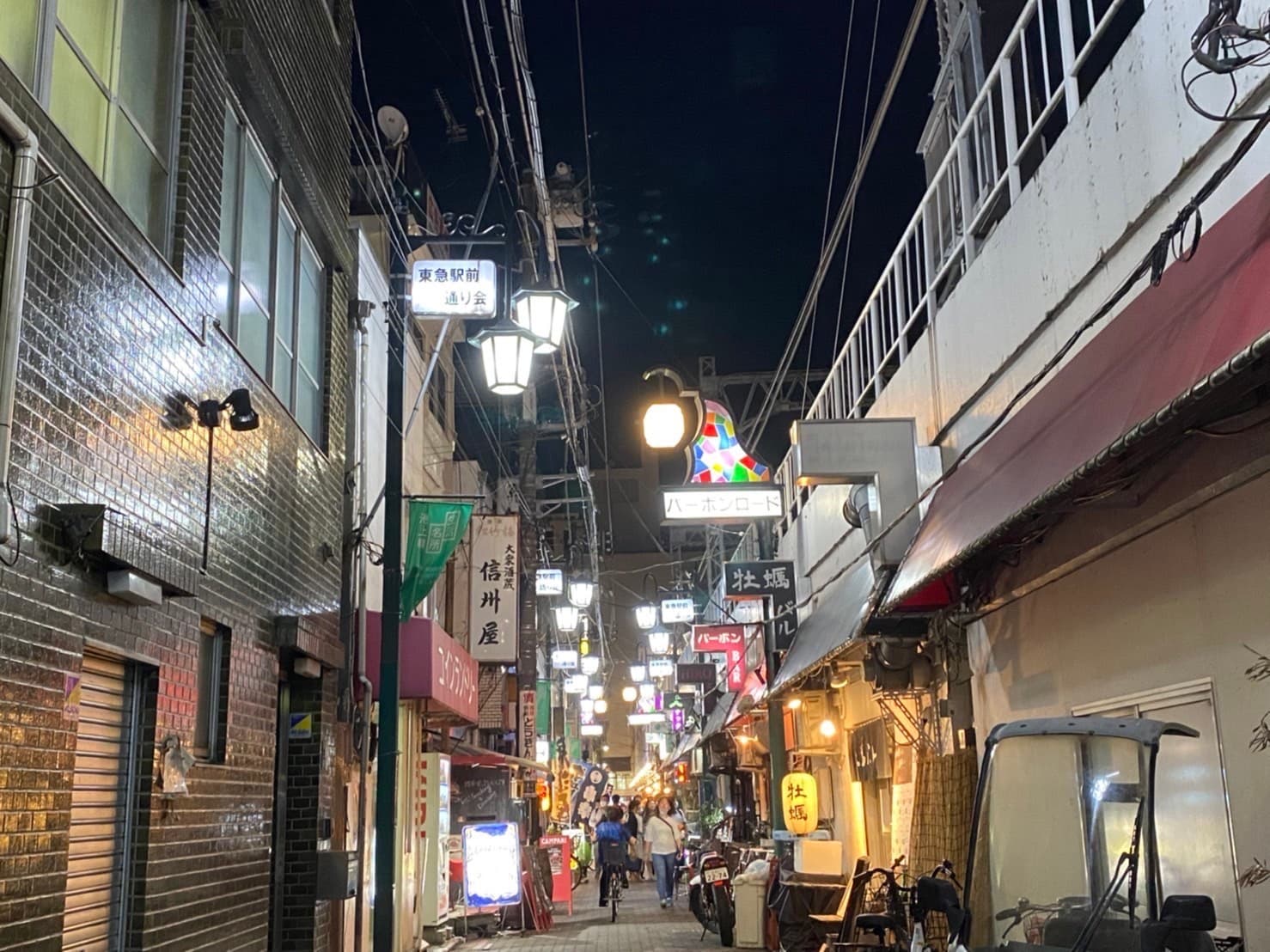 Your Tokyo Izakaya / Restaurant Personal Guide
(Kamata Area *Other area also available)