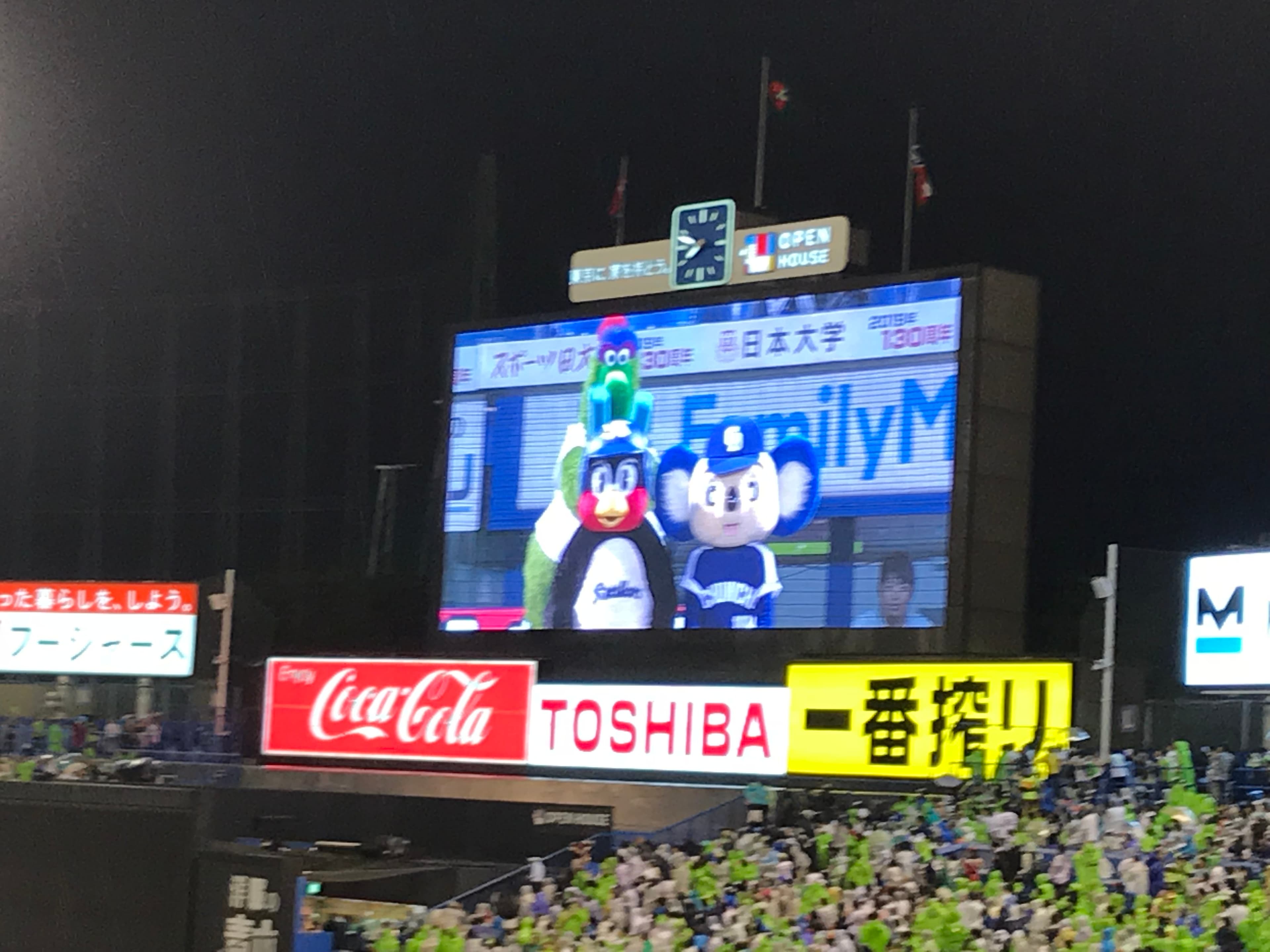 Experience Japanese Baseball at Jingu Stadium with a Local Fan