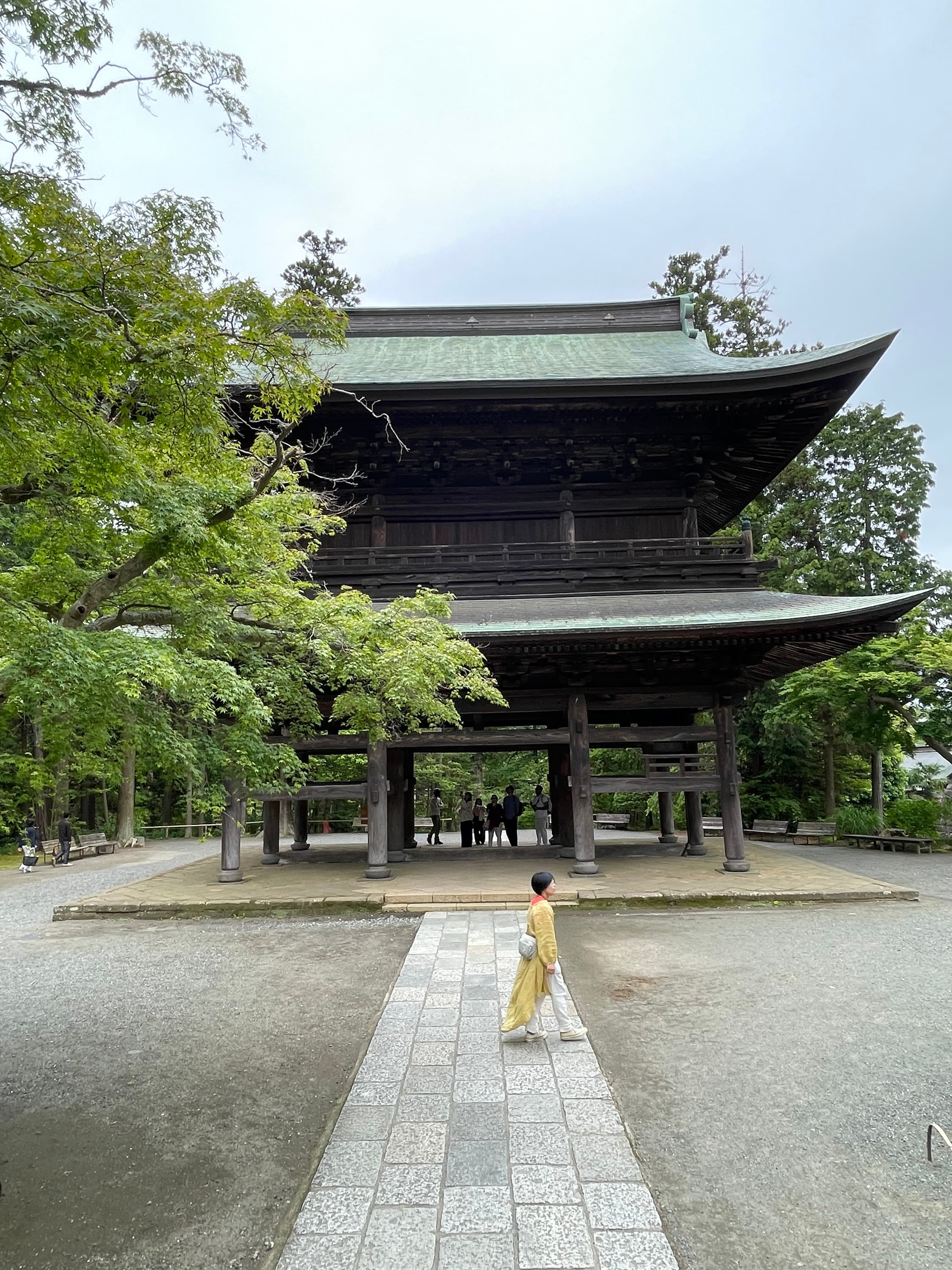 The temples in Kamakura with the nature and local history !